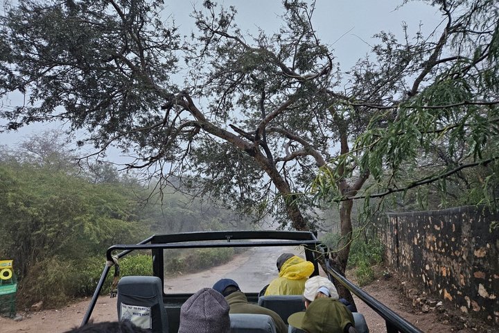 Ranthambore Tiger Safari in Jeep or Canter with Pickup