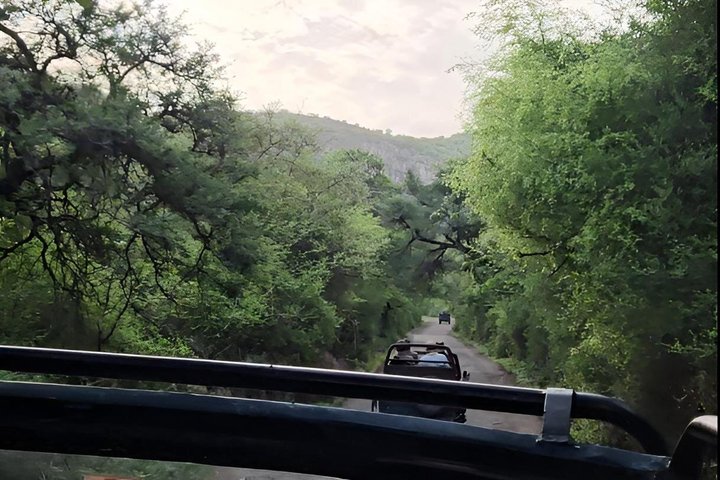 Ranthambore Tiger Safari in Jeep or Canter with Pickup