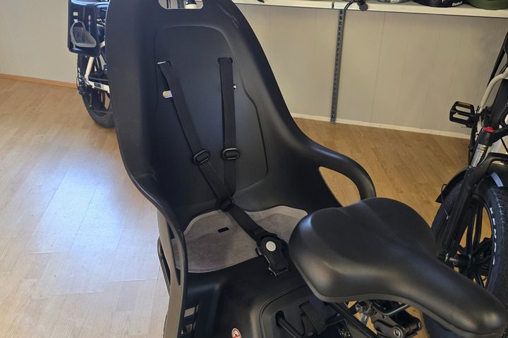 Rent E-bike in Vestmannaeyjar