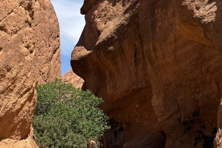 Dades Valley-Monkey Fingers hike with Local Guide
