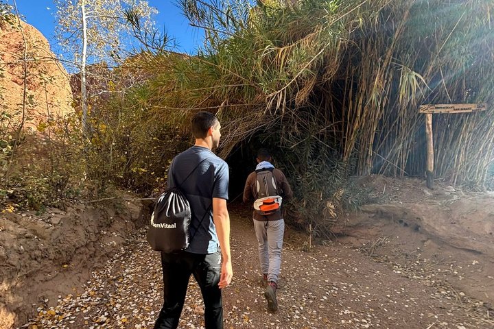 Dades Valley-Monkey Fingers hike with Local Guide