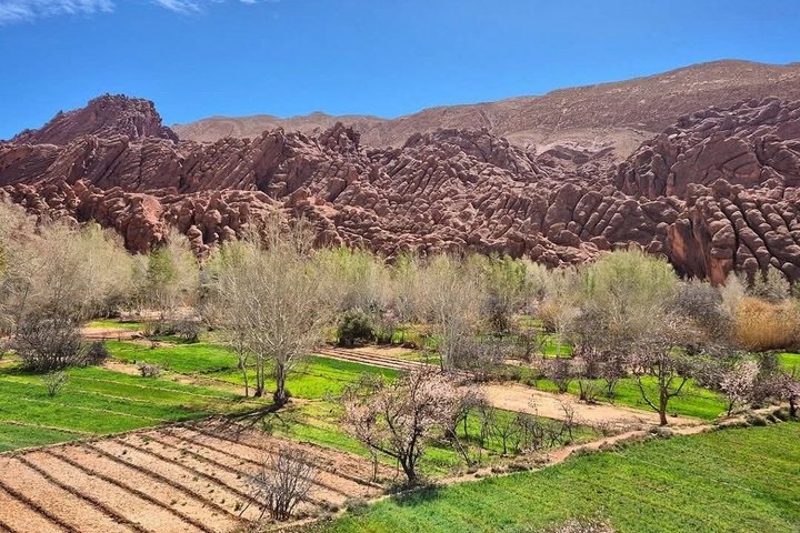 Dades Valley-Monkey Fingers hike with Local Guide
