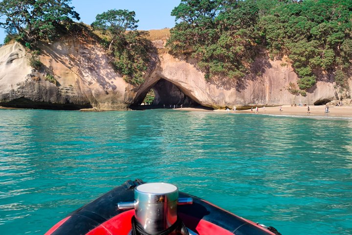 Cathedral Cove Scenic Cruises Explore Caves and Coastline