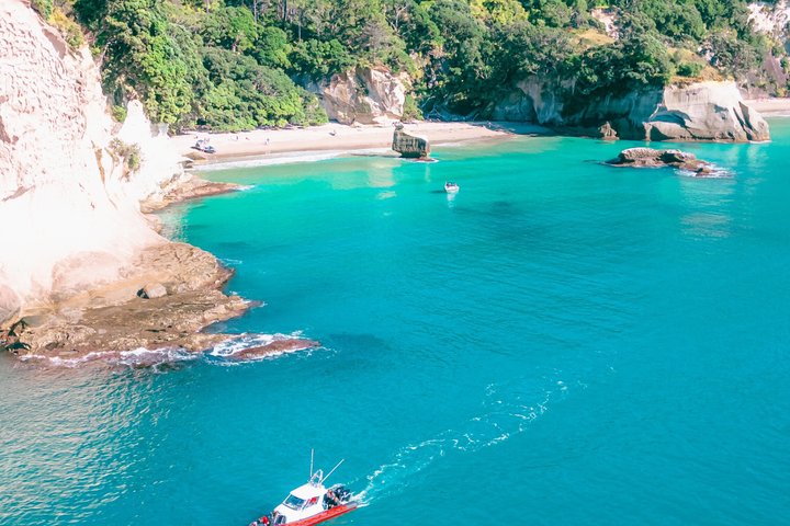 Cathedral Cove Scenic Cruises Explore Caves and Coastline