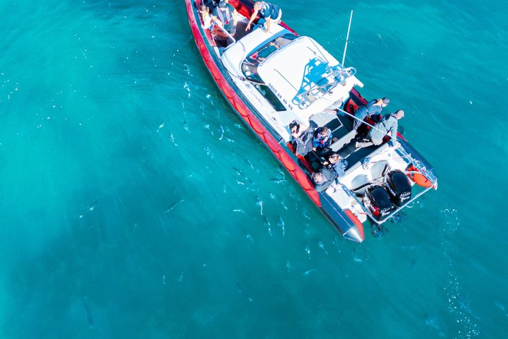 Cathedral Cove Scenic Cruises Explore Caves and Coastline