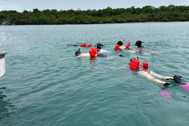 Snorkeling! & Cahuita national park Small Group Tour