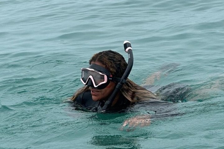 Snorkeling! & Cahuita national park Small Group Tour