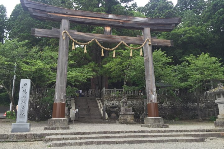 Full Day Snow Monkey Park and Togakushi Shrine Tour in Nagano