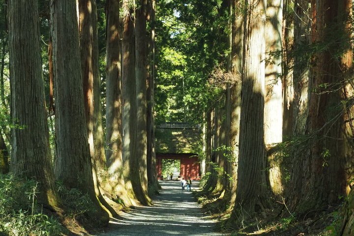 Full Day Snow Monkey Park and Togakushi Shrine Tour in Nagano
