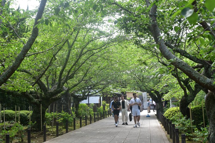 Kamakura Temples and Seaside Escape by Private Vehicle from Tokyo