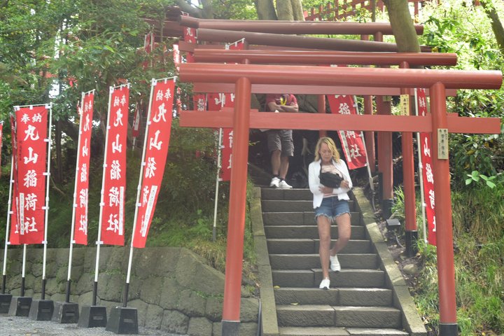 Kamakura Temples and Seaside Escape by Private Vehicle from Tokyo