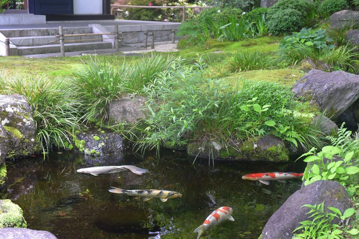 Kamakura Temples and Seaside Escape by Private Vehicle from Tokyo