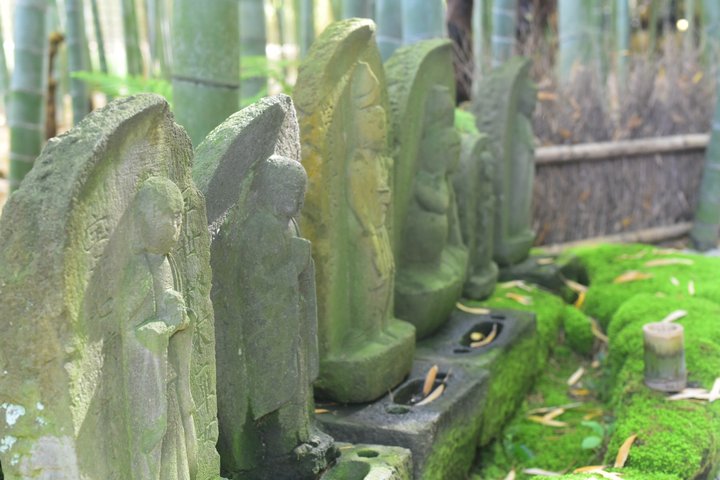 Kamakura Temples and Seaside Escape by Private Vehicle from Tokyo