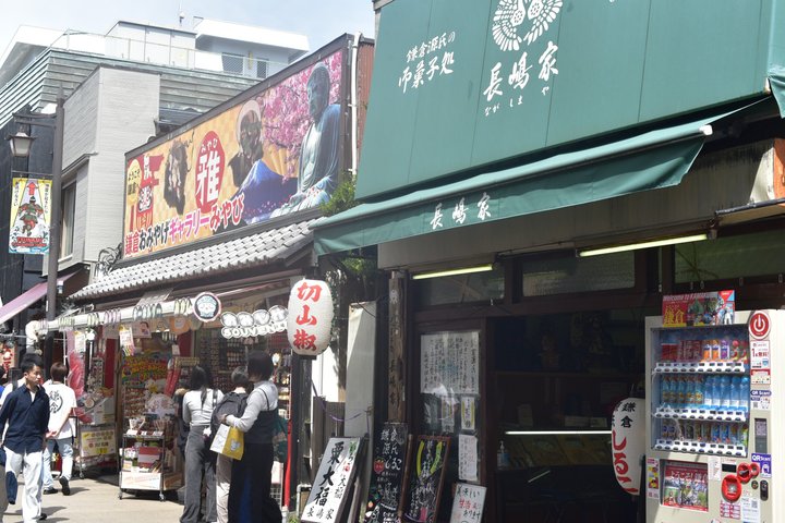 Kamakura Temples and Seaside Escape by Private Vehicle from Tokyo