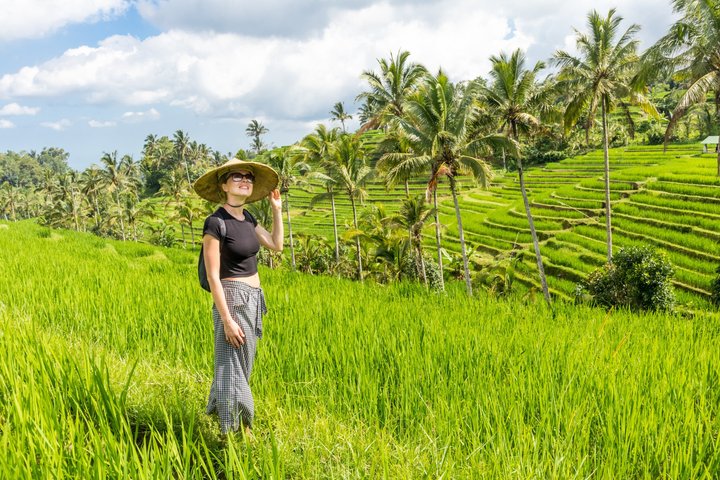 Bali UNESCO Rice Terrace, Beratan Temple & Tanah Lot Private Tour
