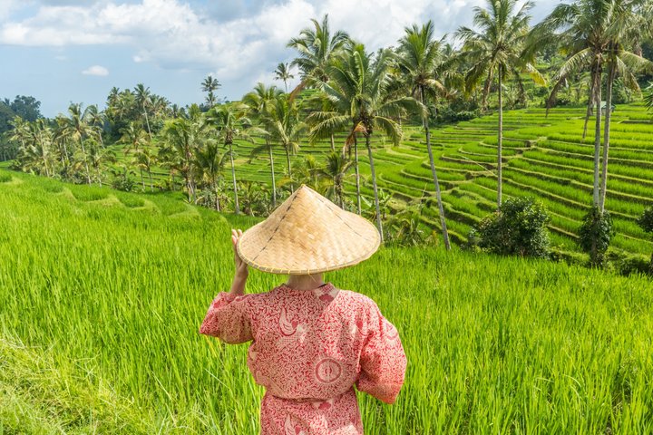 Bali UNESCO Rice Terrace, Beratan Temple & Tanah Lot Private Tour