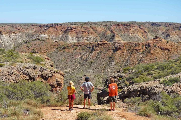Ningaloo in a Day Safari Snorkeling and Yardie Creek Cruise