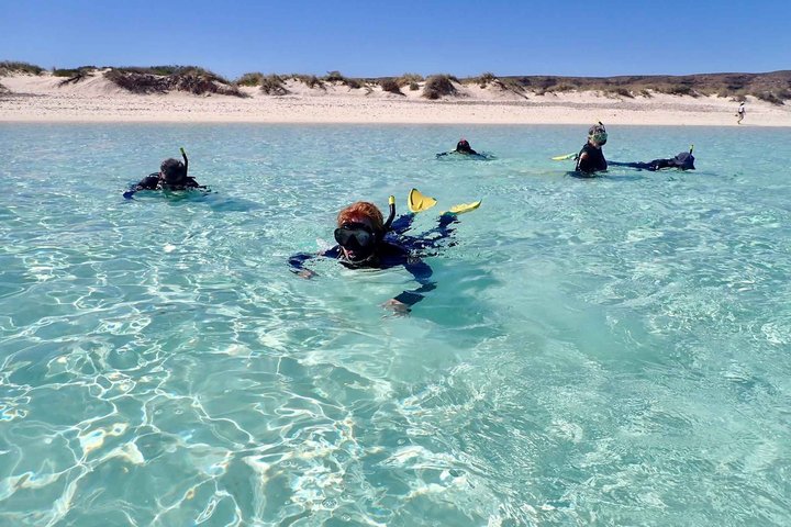 Ningaloo in a Day Safari Snorkeling and Yardie Creek Cruise