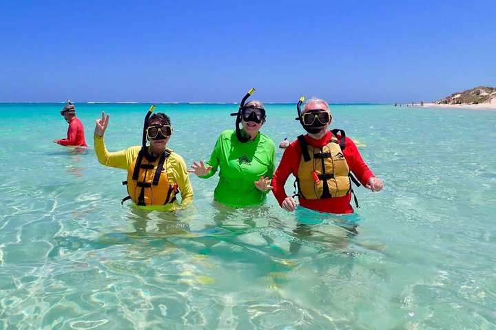 Ningaloo in a Day Safari Snorkeling and Yardie Creek Cruise