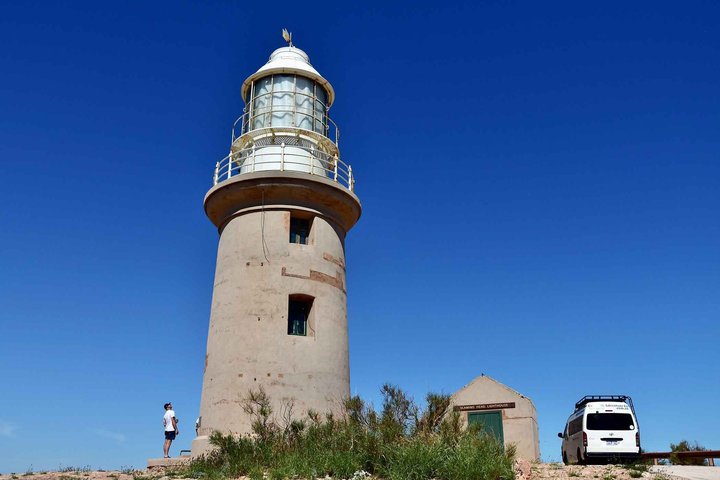 Ningaloo in a Day Safari Snorkeling and Yardie Creek Cruise