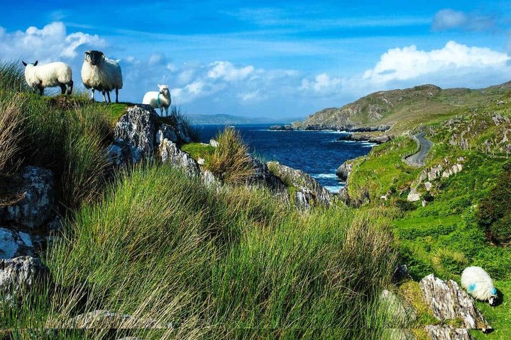 Cliffs of Moher and West of Ireland Scenic Tour