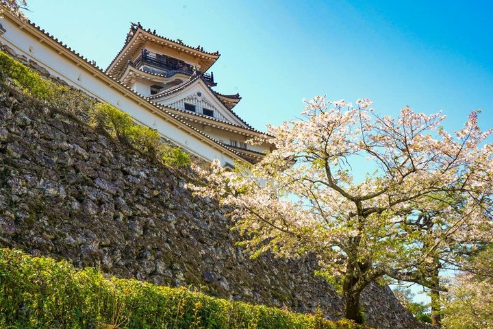 Shore Excursion Full Day Private Kochi Tour from Kochi port