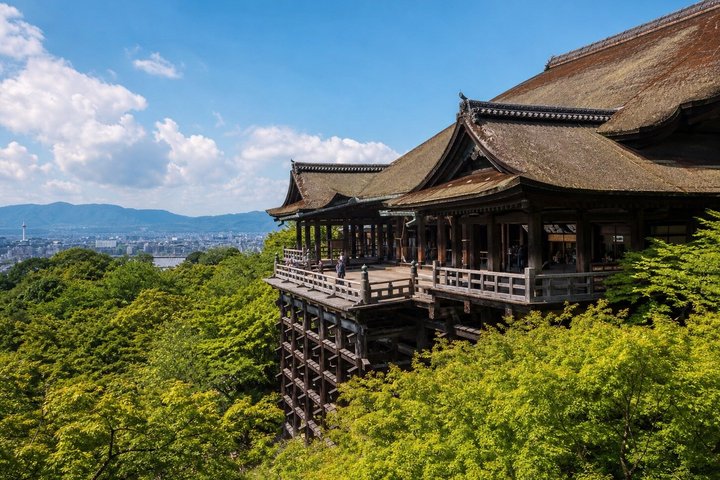 PERFECT KYOTO 1-Day Bus Tour