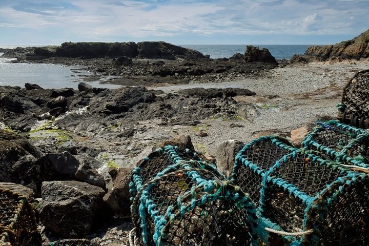 Private Shore Tour: Peel Vikings & the Scenic West Coast