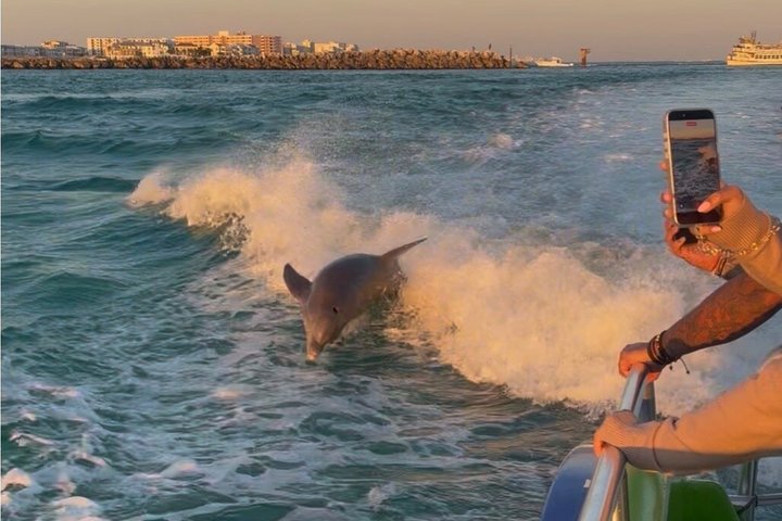 Dolphin Cruise in Destin FL
