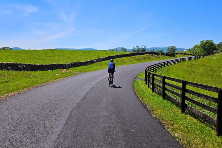 Crozet Virginia Winery and Bike Tour Experience