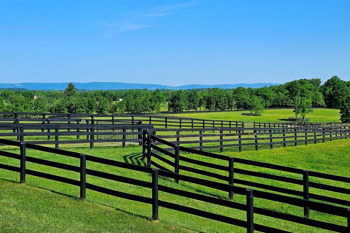 Crozet Virginia Winery and Bike Tour Experience