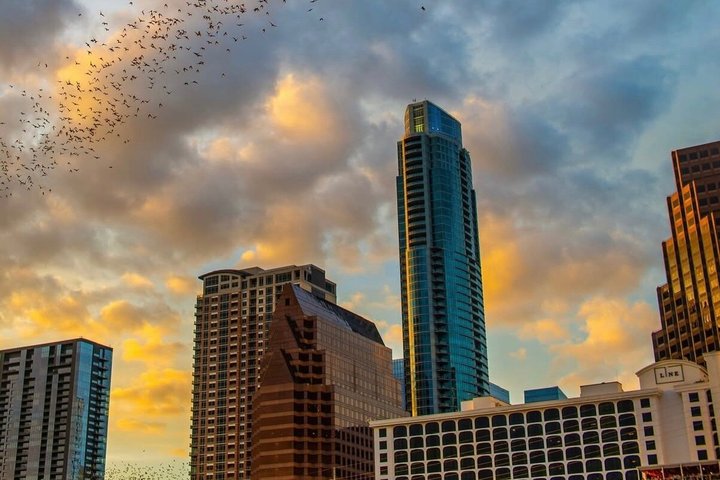 Guided Sunset Bat Kayak Tour in Austin