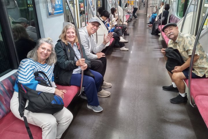 Best of Tokyo Private Tour from Yokohama & Tokyo Ports or Hotels
