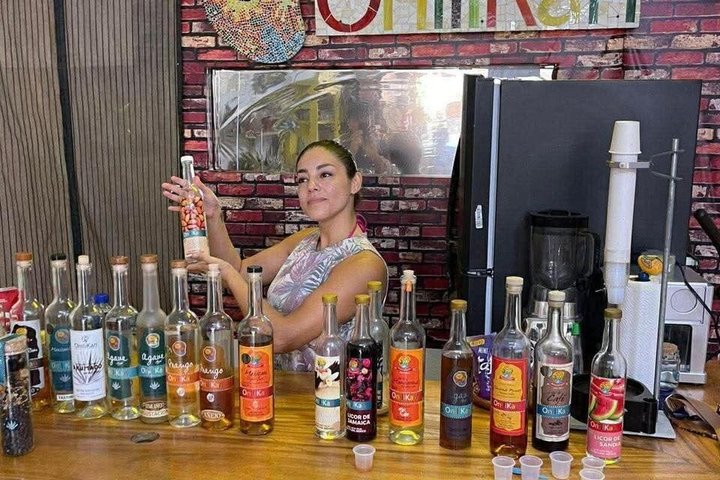 Mazatlán Shared City Tour by Red Truck History and Flavors