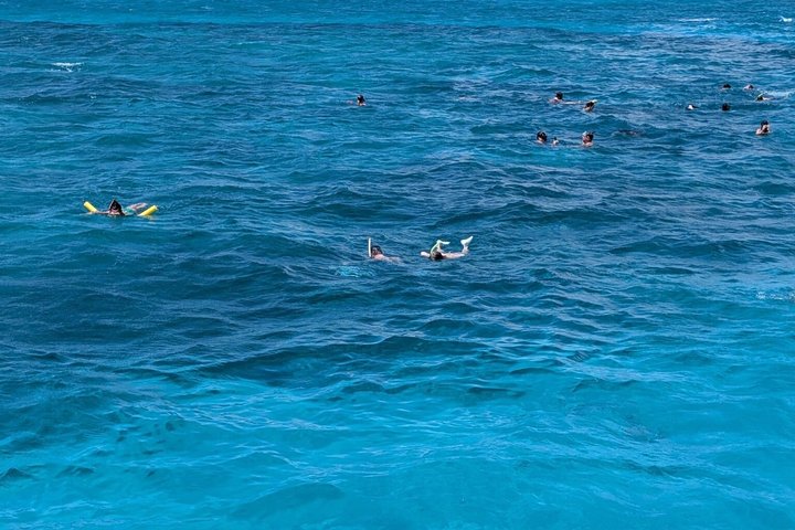 Nassau 3-stops: Snorkeling, Swimming Pigs, Turtles & Lunch