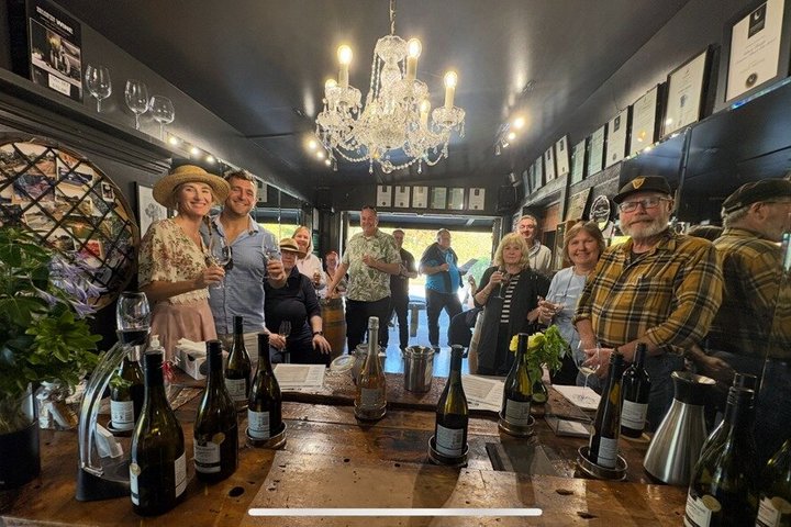 Marlborough Afternoon Wine Tour & Vineyard Experience