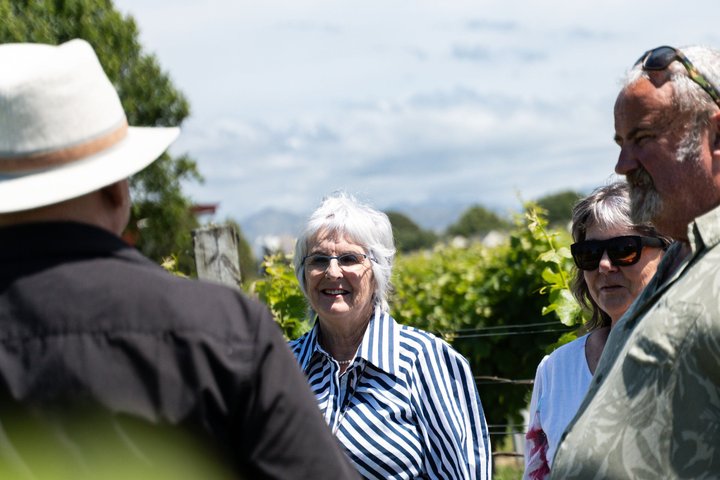 Marlborough Afternoon Wine Tour & Vineyard Experience