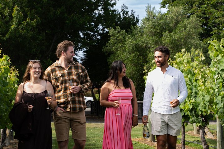 Marlborough Afternoon Wine Tour & Vineyard Experience