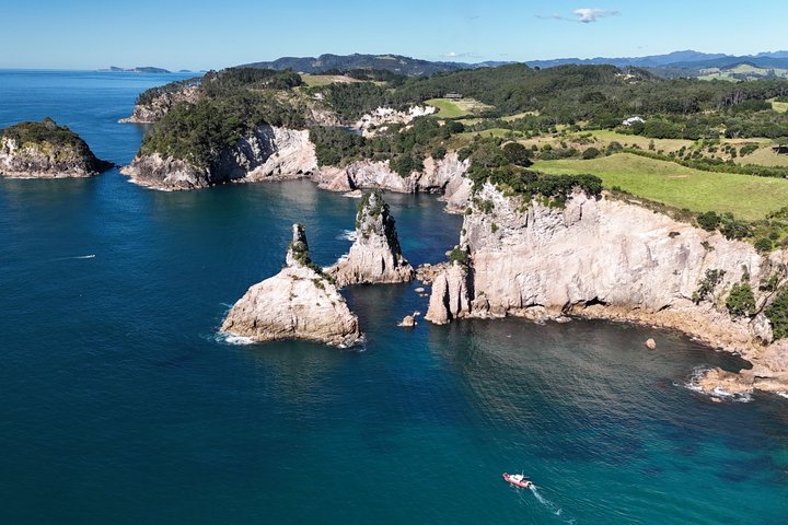 Cathedral Cove Scenic Cruises Explore Caves and Coastline
