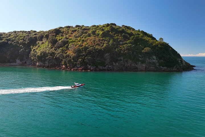Cathedral Cove Scenic Cruises Explore Caves and Coastline