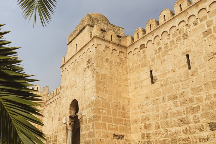 Tunisian Camel Ride and Local Experience
