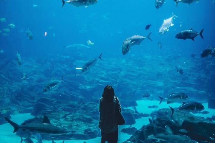 Adventure Cove WaterPark Sentosa Island Singpore