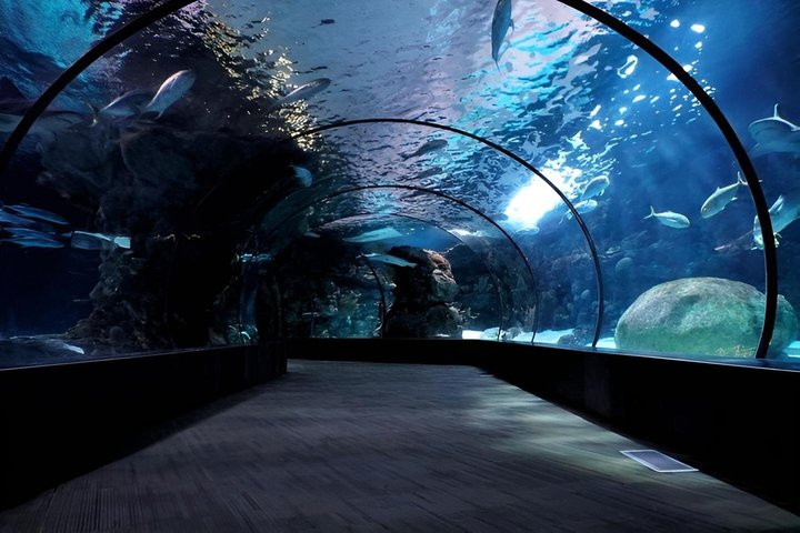 Adventure Cove WaterPark Sentosa Island Singpore