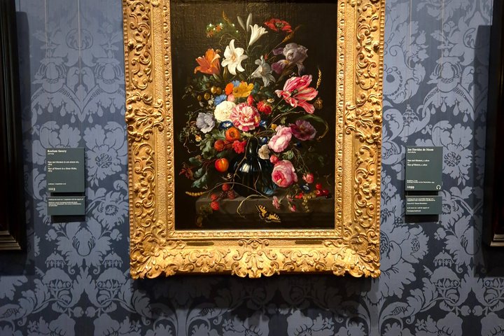 The Hague: Mauritshuis Private Tour with Art Historian