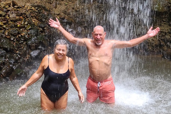 Private Best of St Lucia Mud Bath & Toraille Waterfall Excursion