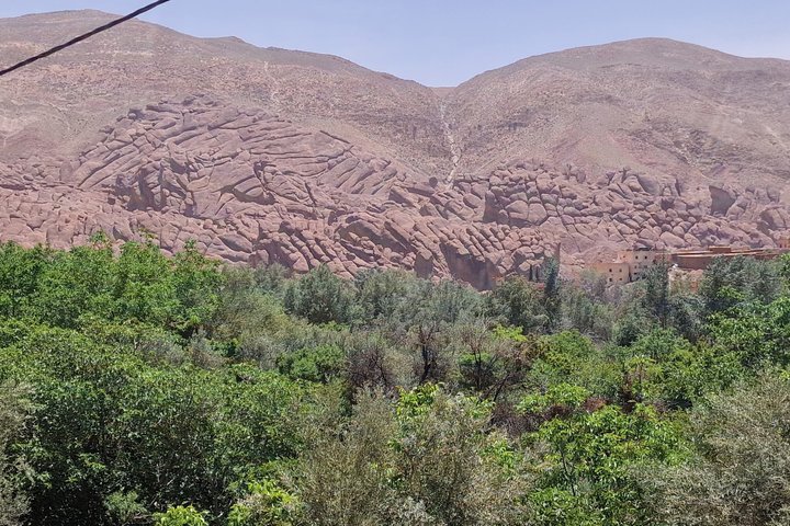 Private Excursion from Ouarzazate to Gorges Dades, Valley of Roses and Skoura