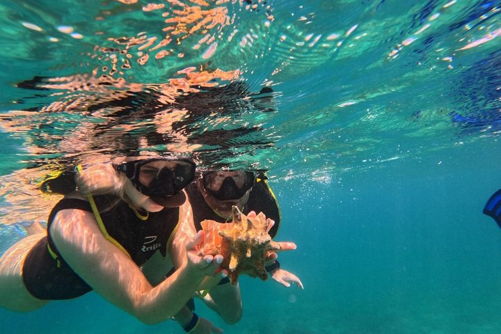 Vieques: Sea Turtle Snorkeling Small-Group, Photos & Snacks