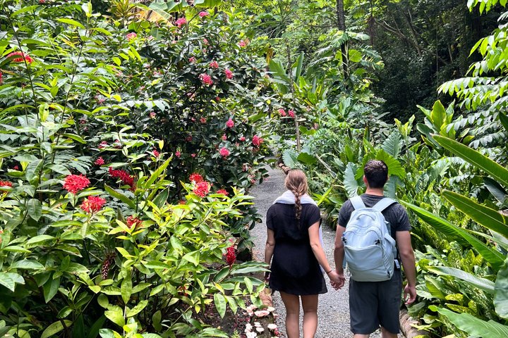St Lucia Diamond Mineral and Mud Baths Plus Waterfall Adventure