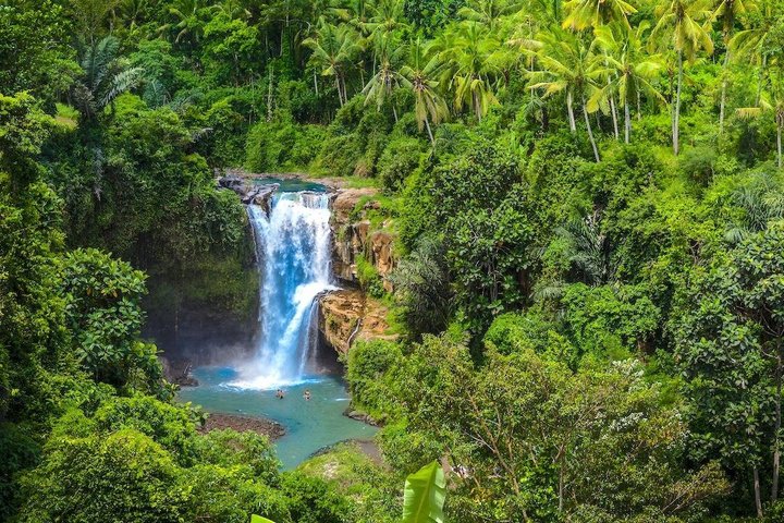 Ubud ATV Ride Through Elephant Cave, Monkey Forest, Waterfall