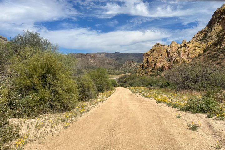 Scottsdale Sunset ATV/UTV Tour-Bigfoot Desert Adventure UTV Tours